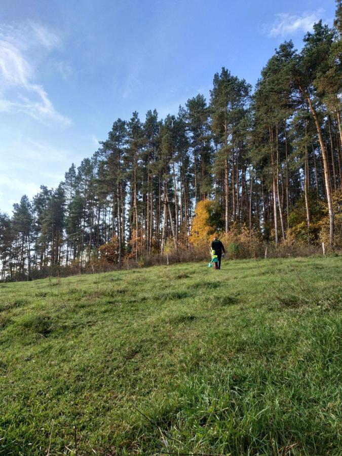 Domki Nad Jeziorem - Zalesie 7D Zalesie (Olsztyn) Exterior photo