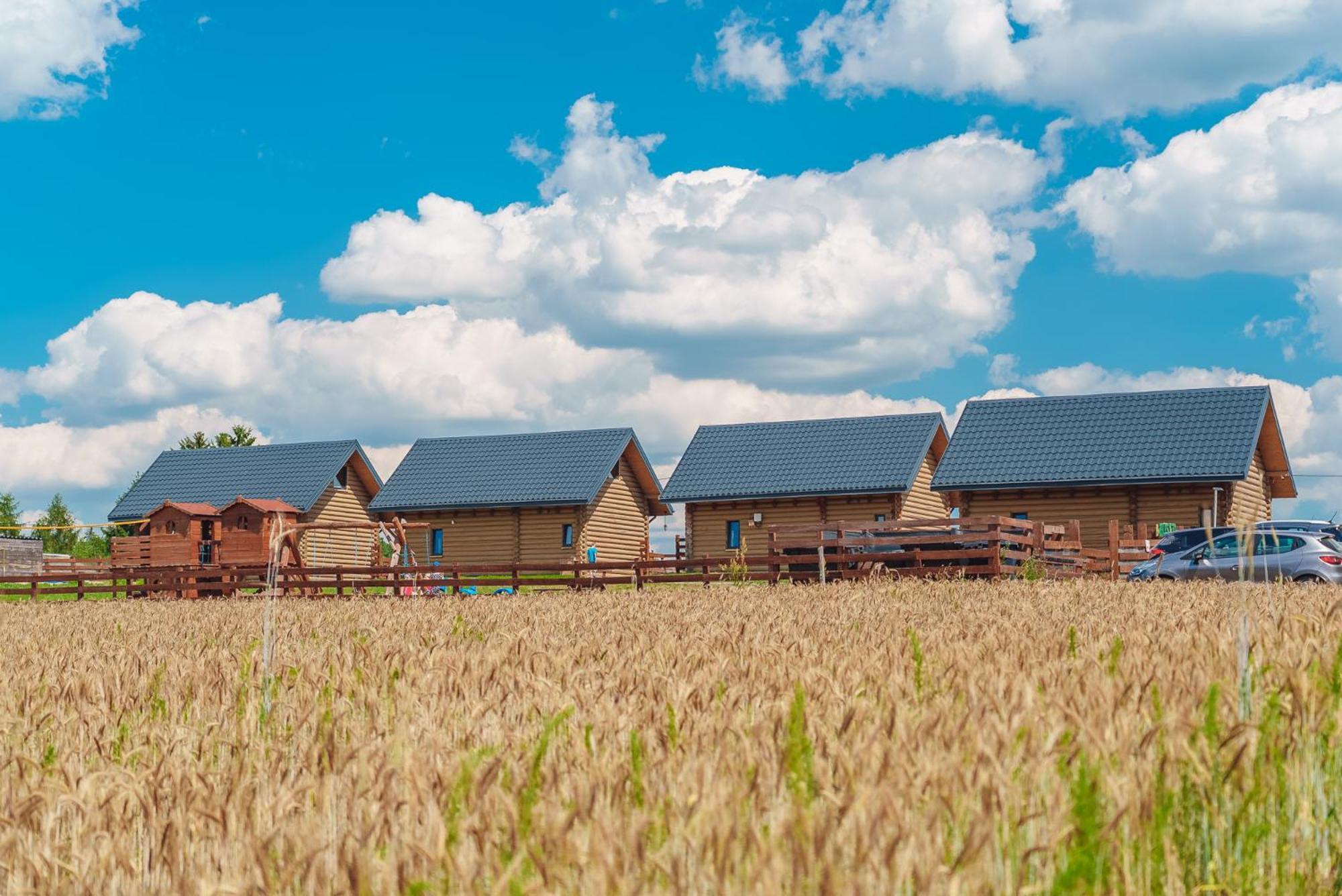 Domki Nad Jeziorem - Zalesie 7D Zalesie (Olsztyn) Exterior photo